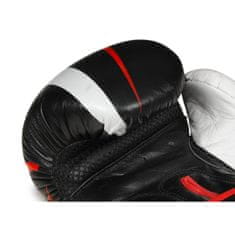 DBX BUSHIDO boxerské rukavice B-2v7 10oz