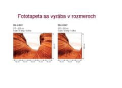 Dimex fototapeta MS-3-0057 Púštne duny 225 x 250 cm