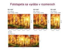 Dimex fototapeta MP-2-0067 panoráma - Slnečný les 375 x 150 cm