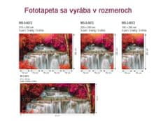 Dimex fototapeta MP-2-0072 panoráma - Dažďový prales 375 x 150 cm
