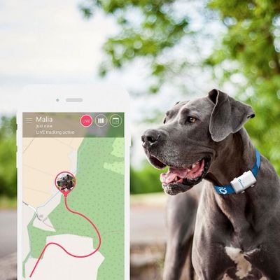 Tractive GPS Tracker XL, GPS obojok pre psy, live tracking, sledovanie psa, virtuálny plot