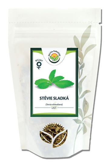 Salvia Paradise Stévia sladká - list