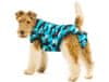 Pooperačné ochranné oblečenie pre psa modré