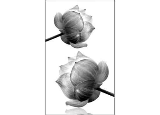 Dimex fototapeta MS-2-5010-SK Čiernobiele kvety 150 x 250 cm