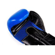 DBX BUSHIDO boxerské rukavice DBD-B-2v2 12 oz