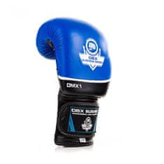 DBX BUSHIDO boxerské rukavice DBD-B-2v2 12 oz