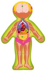 Woody Puzzle Ľudské telo - Dievča SK