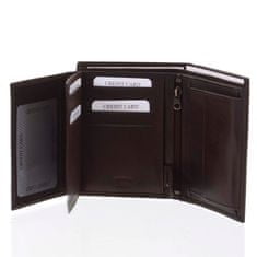 Diviley Pánska štýlová peňaženka ROGER, hnedá matná