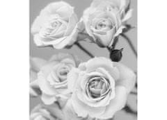 Dimex fototapeta MS-3-5505-SK Ruže čiernobiele 225 x 250 cm
