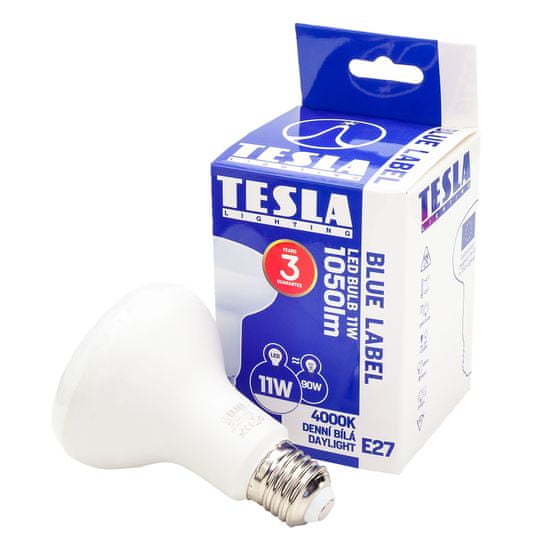 Tesla Lighting R8271140-7