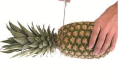 Ibili Plastový krájač na ananás