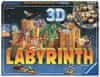 262793 Labyrinth 3D