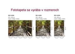 Dimex fototapeta MS-5-0059 Mangrovový les 375 x 250 cm