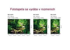 Dimex fototapeta MS-2-0079 Potok 150 x 250 cm