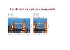 Dimex fototapeta MS-5-0021 Tower Bridge v noci 375 x 250 cm