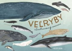 Oseid Kelsey: Veľryby: ilustrovaný sprievodca