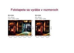 Dimex fototapeta MS-3-0044 Chodba 225 x 250 cm