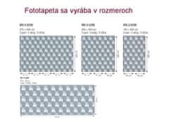 Dimex fototapeta MS-2-0298 3D kocky 150 x 250 cm