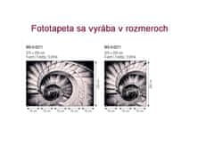 Dimex fototapeta MS-5-0271 Špirálové schodisko 375 x 250 cm