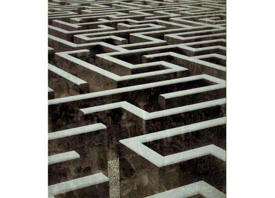 Dimex fototapeta MS-3-0279 Labyrint 225 x 250 cm
