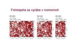 Dimex fototapeta MS-2-0281 Červený kryštál 150 x 250 cm