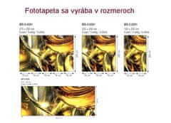 Dimex fototapeta MS-3-0291 Zlatý abstrakt 225 x 250 cm