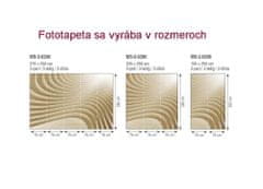 Dimex fototapeta MS-3-0296 3D béžové vlny 225 x 250 cm