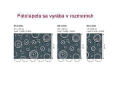 Dimex fototapeta MS-2-0302 Kovové kruhy 150 x 250 cm