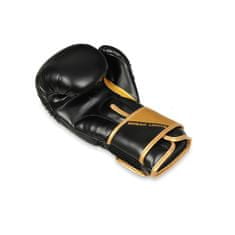 DBX BUSHIDO boxerské rukavice B-2v10 14 oz.