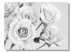 Dimex Dimex, obrazy na plátne - Ruže čiernobiele 100 x 75 cm