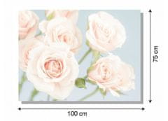Dimex Dimex, obrazy na plátne - Ruže 100 x 75 cm
