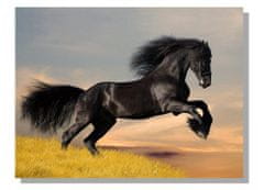Dimex Dimex, obrazy na plátne - Čierny kôň 100 x 75 cm
