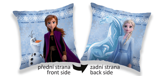 Jerry Fabrics Vankúšik Frozen 2 sides