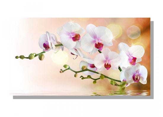 Dimex Dimex, obrazy na plátne - Biela orchidea 90 x 50 cm