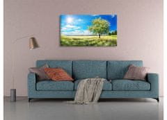 Dimex Dimex, obrazy na plátne - Kvitnúci strom 90 x 50 cm