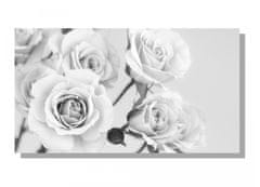 Dimex Dimex, obrazy na plátne - Ruže čiernobiele 90 x 50 cm