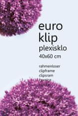 Tradag Euroklip 40x60 akryl
