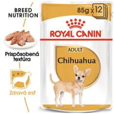 Royal Canin Chihuahua, 12x85g