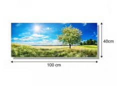 Dimex Dimex, obrazy na plátne - Kvitnúci strom 100 x 40 cm