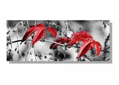 Dimex Dimex, obrazy na plátne - Červené listy v šedom 100 x 40 cm