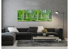 Dimex Dimex, obrazy na plátne - Brezový les 150 x 50 cm