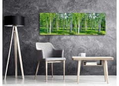 Dimex Dimex, obrazy na plátne - Brezový les 150 x 50 cm