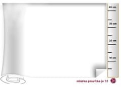 Patifix Dimex - Jednofarebné fólie 10-1005 BIELA MATNÁ - šírka 45 cm