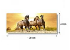 Dimex Dimex, obrazy na plátne - Cválajúce kone 100 x 40 cm