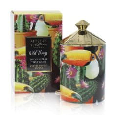 Ashleigh & Burwood Vonná sviečka WILD THINGS - MANGO & Nectarine (mango & nektarinka) 320 g, TOUCAN PLAY THAT GAME