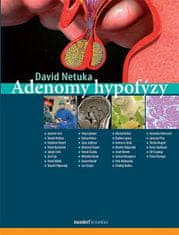 David Netuka;kol.: Adenomy hypofýzy