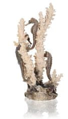 Oase Akváriová dekorácia BiOrb seahorses on coral natural M