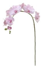 Shishi Ružová orchidea 96 cm s veľkými kvetmi
