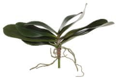 Shishi Zelené listy orchidey 45 x 45 cm