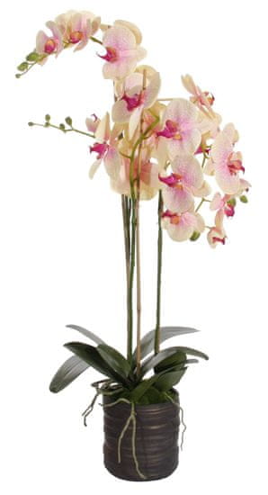 Shishi Ružovožlutá orchidea s kvetináčom 90 x 40 cm
